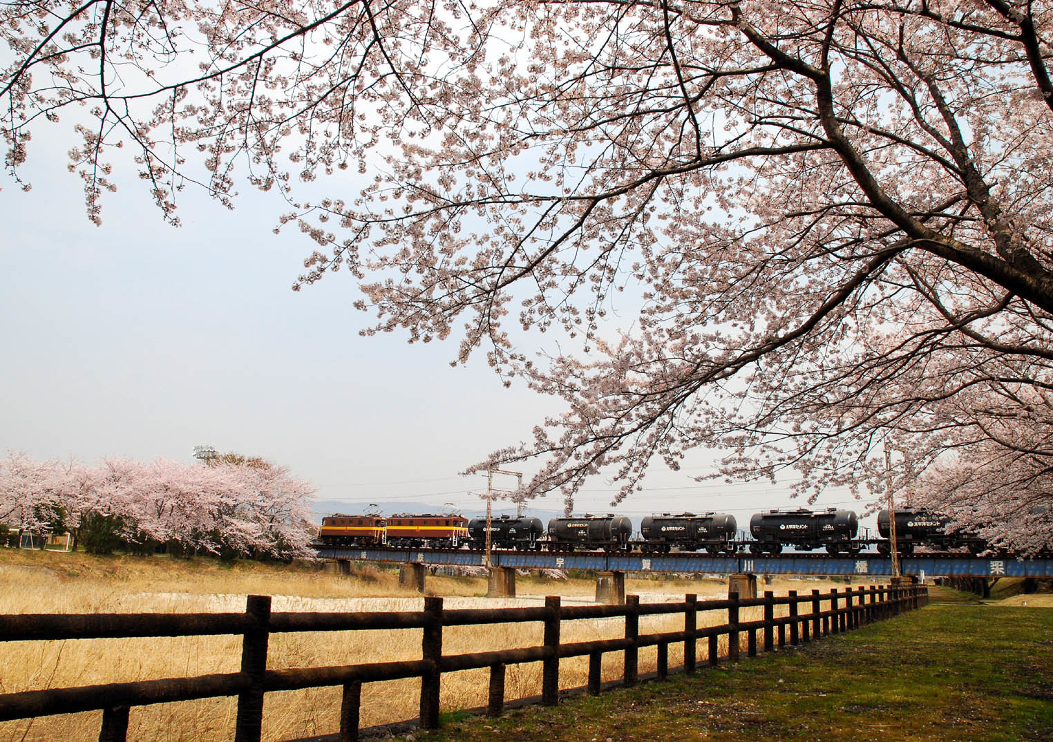 三岐鉄道沿線桜めぐり!: 三岐鉄道車輛大図鑑「きまぐれ日記」 三岐鉄道沿線桜めぐり!: 三岐鉄道車輛大図鑑「きまぐれ日記」